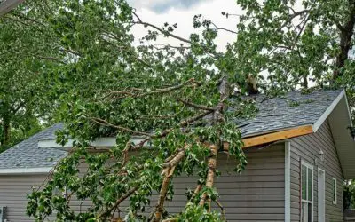 If the recent wind and rain storm caused damage to your roof, gutters or siding, The Roof Kings can help assess any damage and will provide a free estimate within 48 hours of contact. Call us today at (855) 210-7663 to get started!