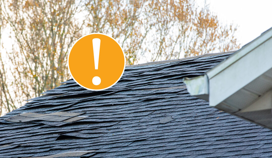 How will you know when it’s time to contact The Roof Kings? Here are a few things to look out for when checking the condition of your roof.