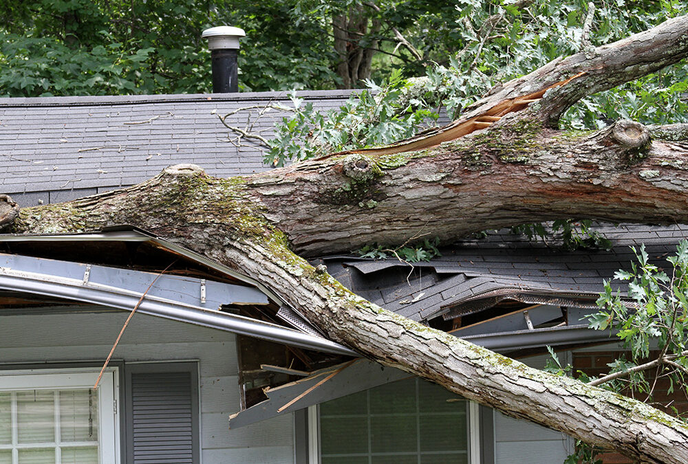 We hope this finds you safe after the recent wind and rain storm that swept through the Boston area and beyond. If your roof suffered damage and needs immediate attention, The Roof Kings is here to help.