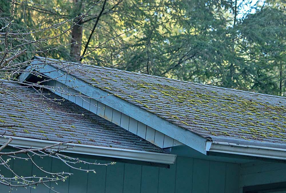 Does you roof look like this? Here is why lichen isn’t something to ignore! Reach out to The Roof Kings to arrange for your free estimate – call us today at (855) 210-7663.