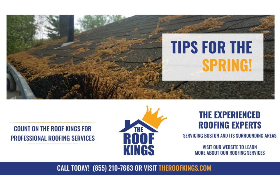 We love the warmer weather but all the pollen flying around can make life difficult. Allergies and car washes become more frequent. It can also collect on your roof and clog your gutters. Reach out to The Roof Kings today for assistance.